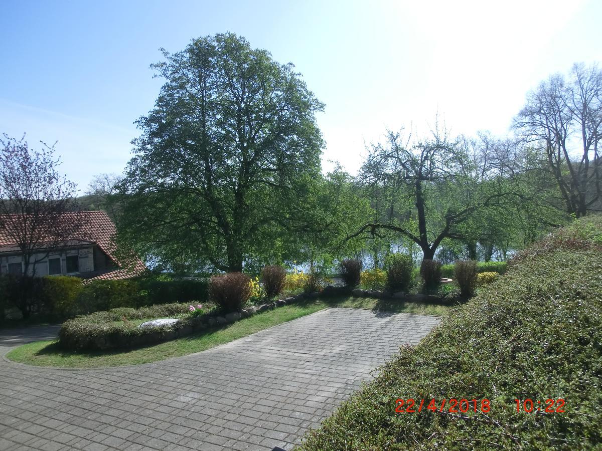 Luzinblick *