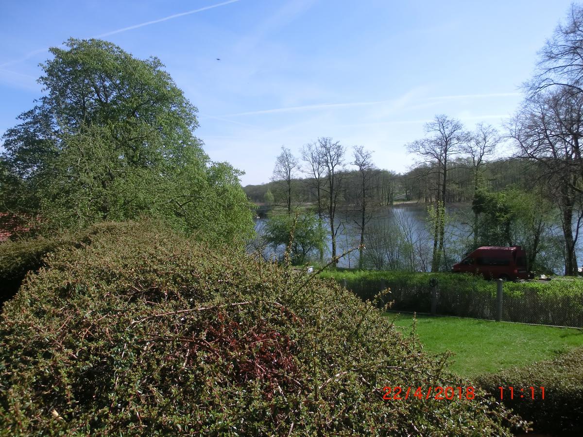 Luzinblick Feldberger Seenlandschaft