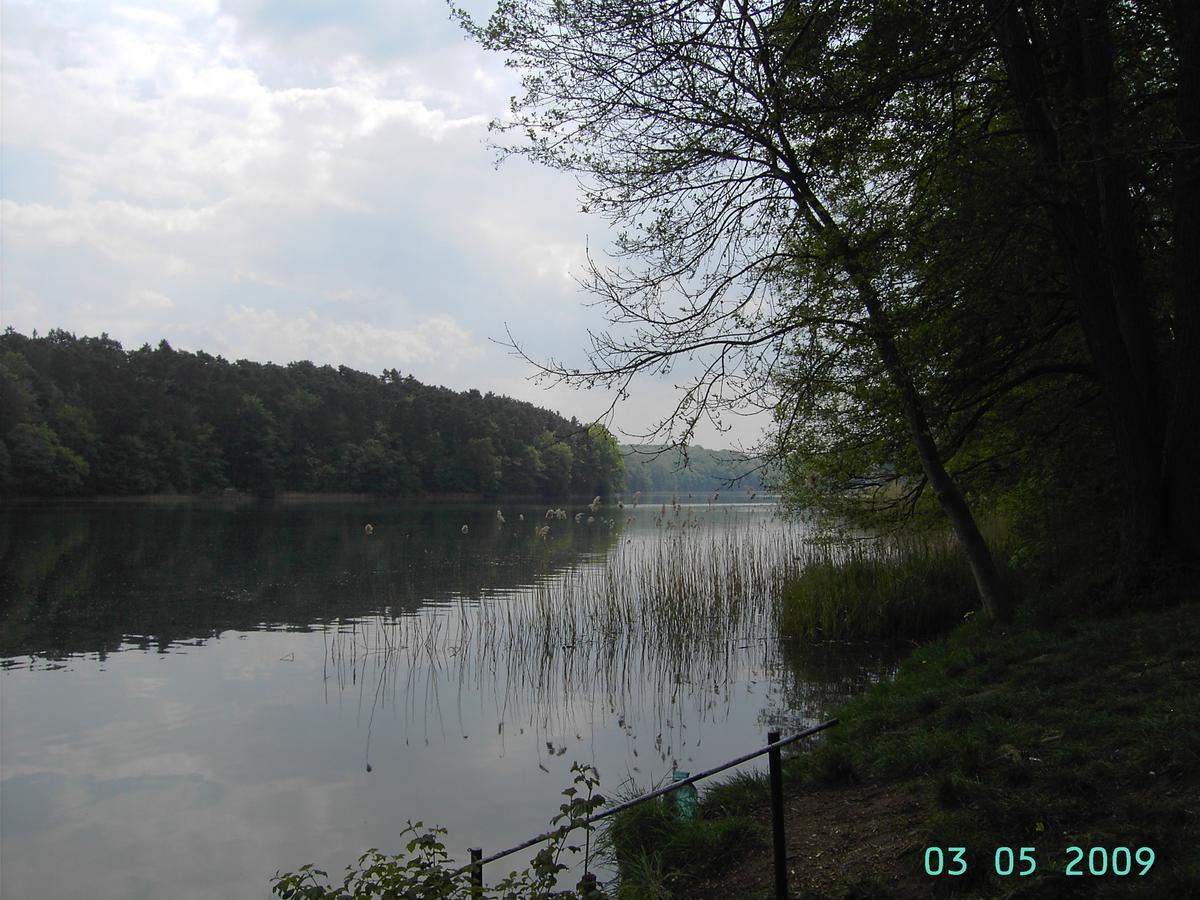 Apartment Luzinblick Feldberger Seenlandschaft