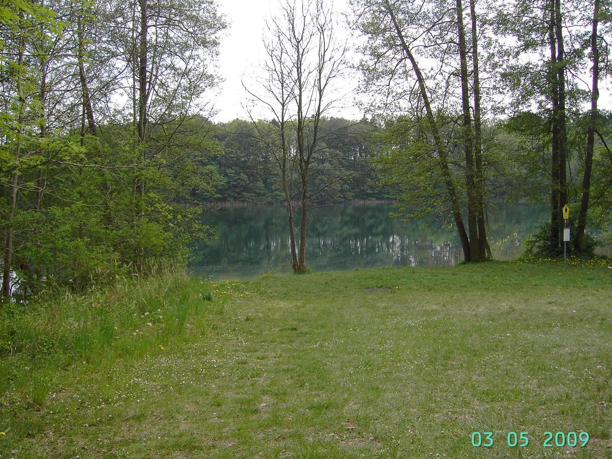 Luzinblick